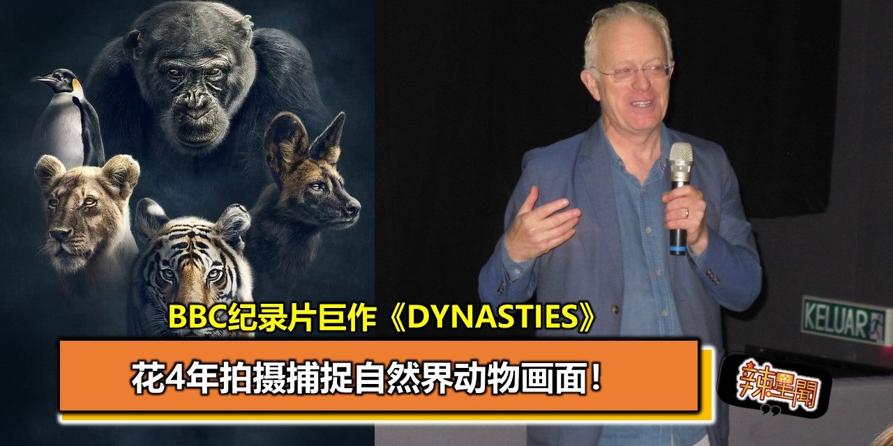 BBC纪录片巨作《Dynasties》花4年拍摄捕捉自然界动物画面！