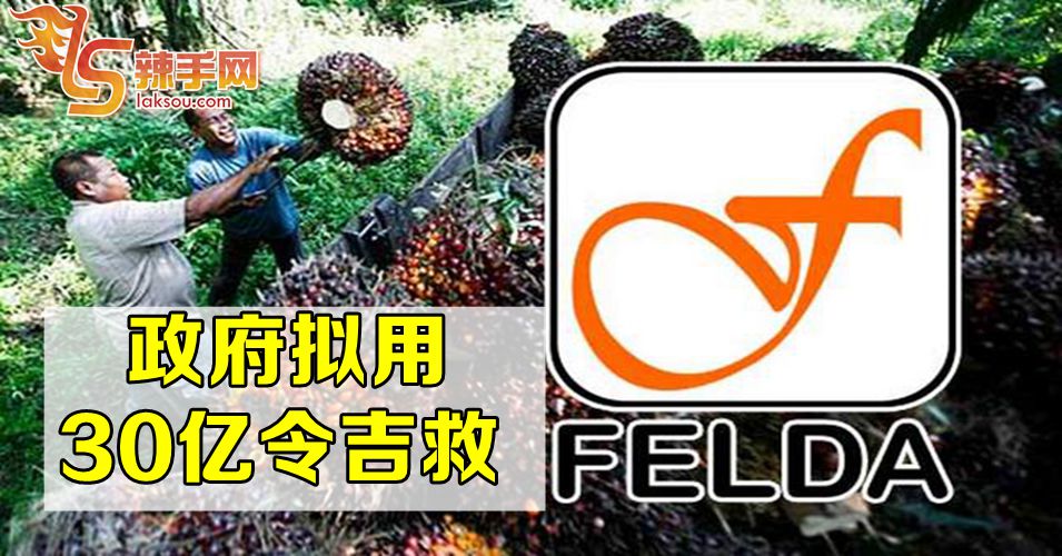 政府拟用30亿令吉拯救FELDA