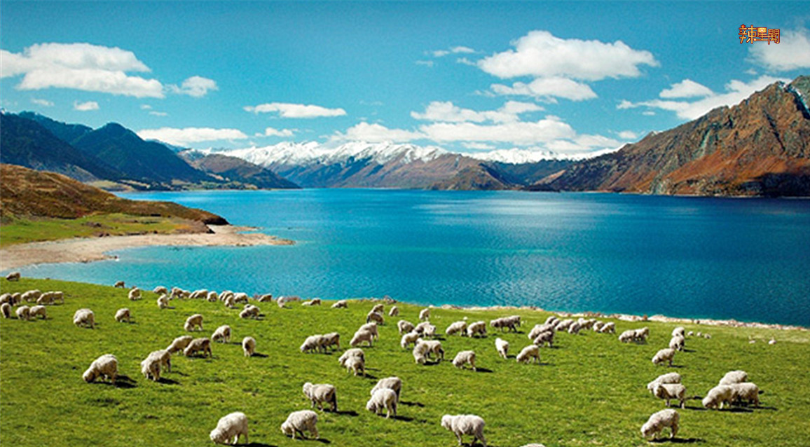 纽西兰7月1日向游客征收旅游税