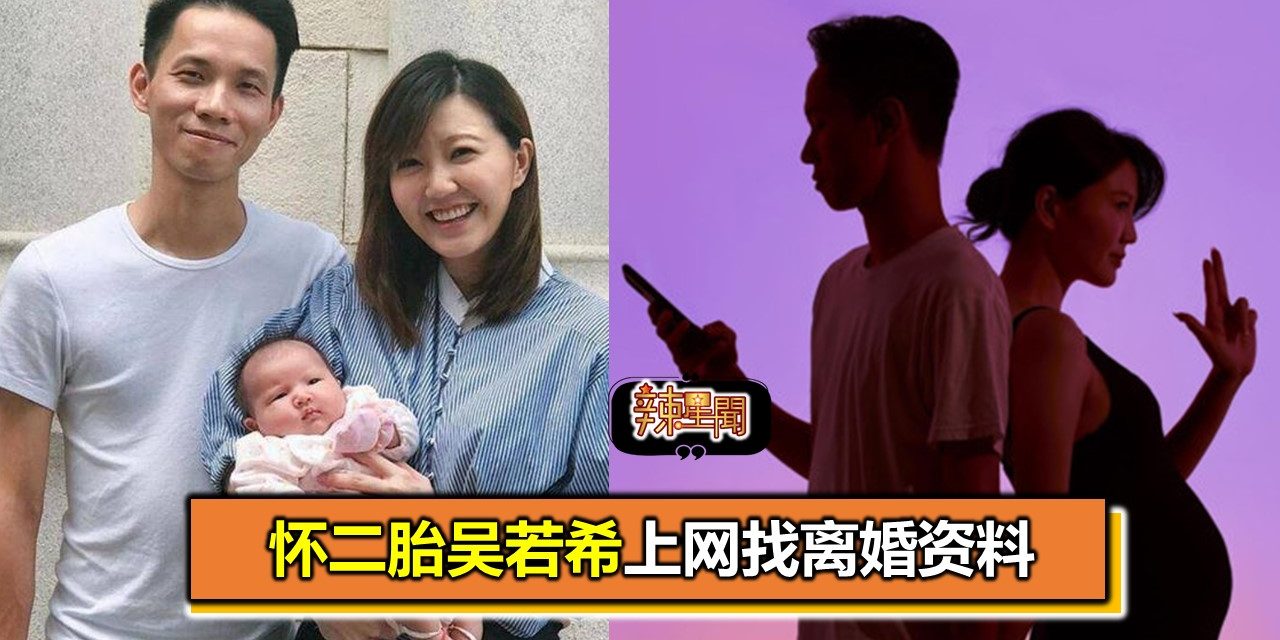 怀二胎吴若希上网找离婚资料