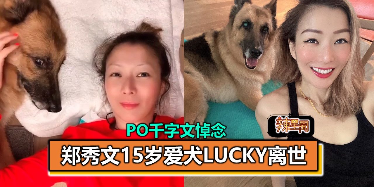 郑秀文15岁爱犬Lucky离世 PO千字文悼念