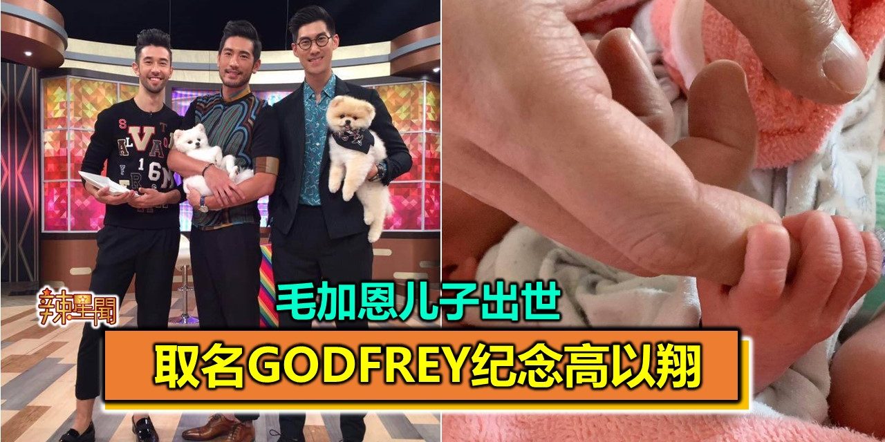 毛加恩儿子出世！取名Godfrey纪念高以翔