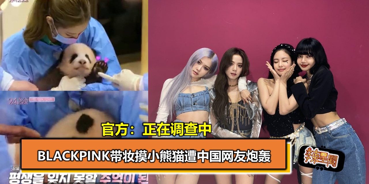 BLACKPINK带妆摸小熊猫遭中国网友炮轰  官方：正在调查中