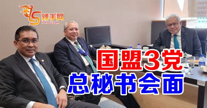 国盟三党总秘书今会面