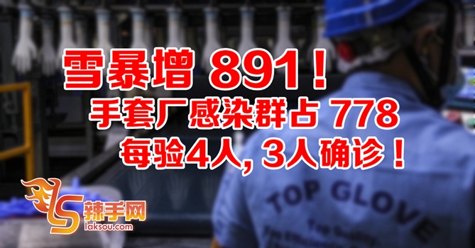 手套厂每验4个人，就有3人确诊