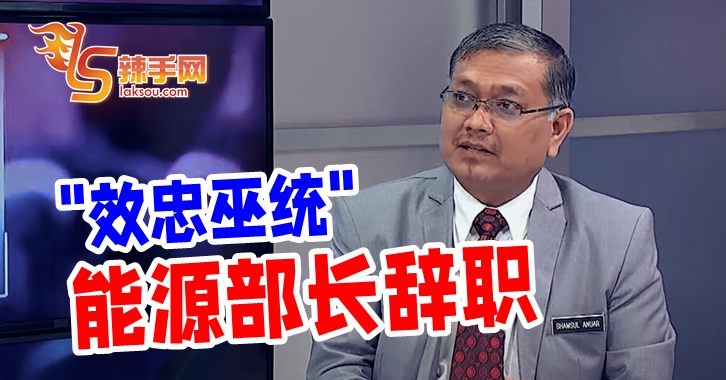 能源部长辞职