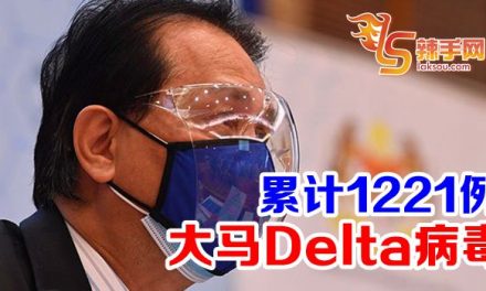 大马Delta病毒累计1221例