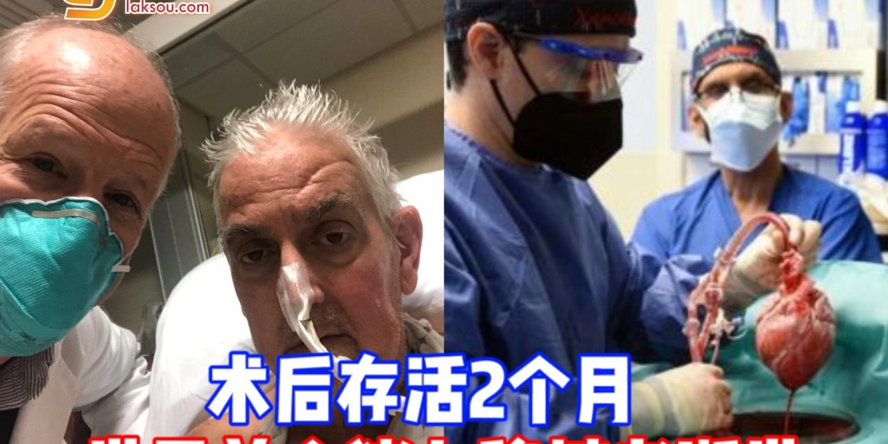 世界首个猪心移植者逝世 术后存活2个月