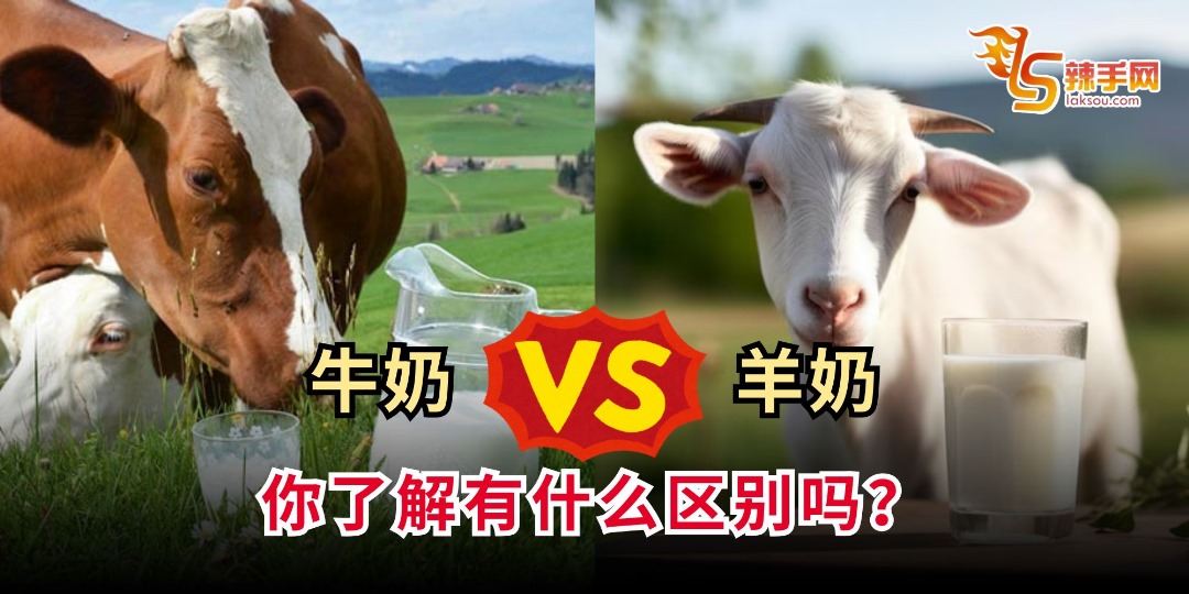 牛奶VS羊奶 你了解有什么区别吗？